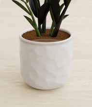 Load image into Gallery viewer, Hammerd Ivory stand:all