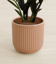 Load image into Gallery viewer, Striped Peach Pink stand:all
