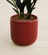 Load image into Gallery viewer, Striped Cherry Red stand:all