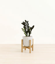 Load image into Gallery viewer, Hammered Ivory stand:bamboo