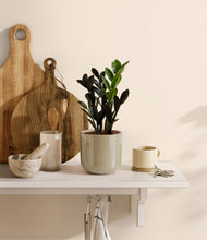 Load image into Gallery viewer, Sage Green
