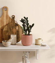 Load image into Gallery viewer, Striped Rose Pink