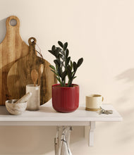 Load image into Gallery viewer, Striped Cherry Red