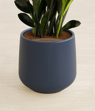 Load image into Gallery viewer, Deep Navy stand:all