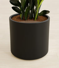 Load image into Gallery viewer, Black stand:all