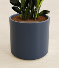 Load image into Gallery viewer, Black stand:all