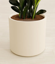 Load image into Gallery viewer, Cream stand:all