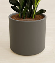 Load image into Gallery viewer, Dark Olive stand:all