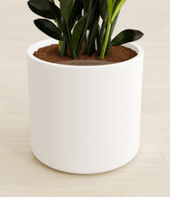 Load image into Gallery viewer, White stand:all