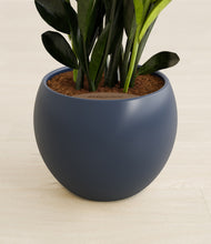 Load image into Gallery viewer, Deep Navy stand:all