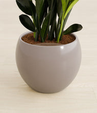 Load image into Gallery viewer, Winter Clouds stand:all