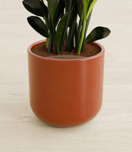 Load image into Gallery viewer, Earth Red stand:all