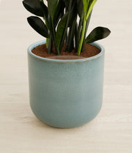 Load image into Gallery viewer, Reactive Aqua stand:all