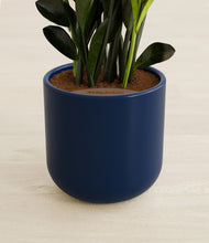 Load image into Gallery viewer, Twilight Blue stand:all