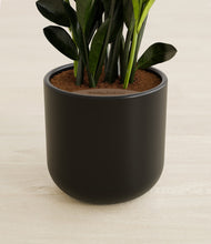 Load image into Gallery viewer, Stone Black stand:all