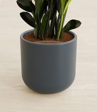 Load image into Gallery viewer, Iron Gray stand:all