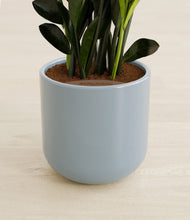 Load image into Gallery viewer, Misty Blue stand:all