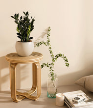 Load image into Gallery viewer, Shiny EggWhite