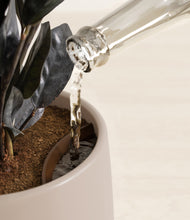 Load image into Gallery viewer, Eternal Gray stand:all