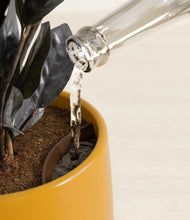 Load image into Gallery viewer, Mustard stand:all