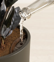 Load image into Gallery viewer, Dark Olive stand:all