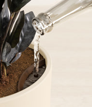 Load image into Gallery viewer, Cream stand:all