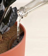 Load image into Gallery viewer, Earth Red stand:all