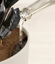 Load image into Gallery viewer, Natural Bamboo stand:all