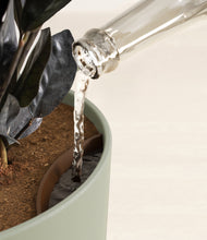 Load image into Gallery viewer, Sage Green stand:all