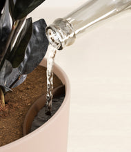 Load image into Gallery viewer, Sandy Pink stand:all