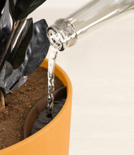 Load image into Gallery viewer, Sunset Orange stand:all