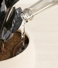 Load image into Gallery viewer, Shiny EggWhite stand:all