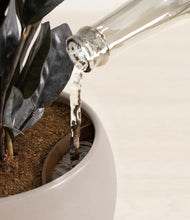 Load image into Gallery viewer, Winter Clouds stand:all