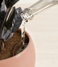 Load image into Gallery viewer, Calm Rose stand:all