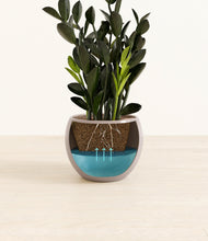 Load image into Gallery viewer, Winter Clouds