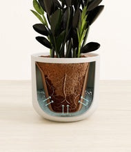 Load image into Gallery viewer, Natural Bamboo