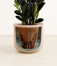 Load image into Gallery viewer, Sandy Pink