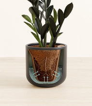 Load image into Gallery viewer, Stone Black stand:all