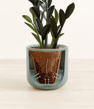 Load image into Gallery viewer, Reactive Aqua stand:all