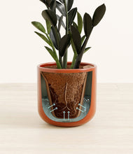 Load image into Gallery viewer, Glossy Red stand:all