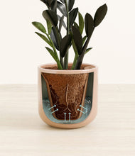 Load image into Gallery viewer, Glossy Pink stand:all