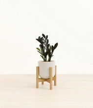 Load image into Gallery viewer, Snowdrift White stand:bamboo