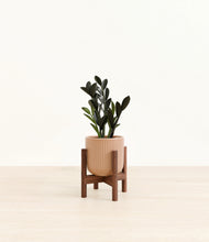 Load image into Gallery viewer, Striped Peach Pink stand:walnut