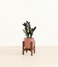 Load image into Gallery viewer, Hammered Rose Pink stand:walnut