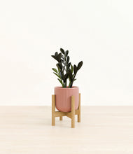 Load image into Gallery viewer, Striped Rose Pink stand:bamboo
