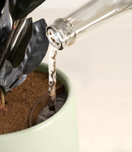 Load image into Gallery viewer, Turquoise stand:all