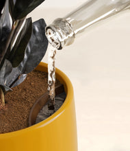 Load image into Gallery viewer, Mustard stand:all