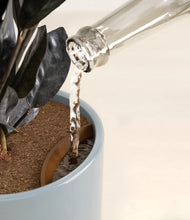 Load image into Gallery viewer, Misty Blue stand:all