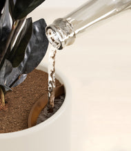 Load image into Gallery viewer, Cotton White stand:all