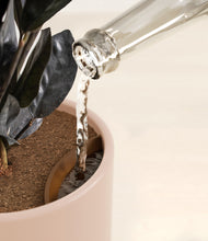 Load image into Gallery viewer, Sandy Pink stand:all